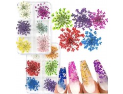 Сухоцветы для ногтей