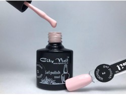 Гель лак POWDER №2